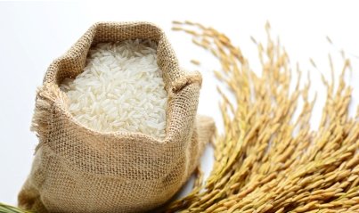 🍚 Rice