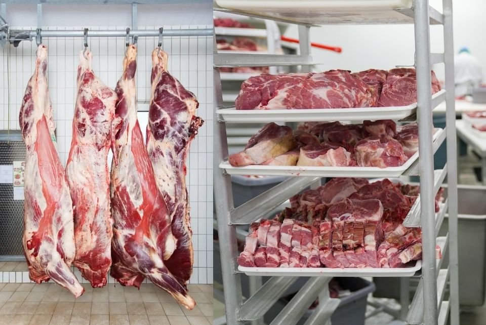 meat